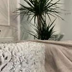 Luxury Mansion בוקרשט