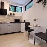Luxury Mansion Apartament