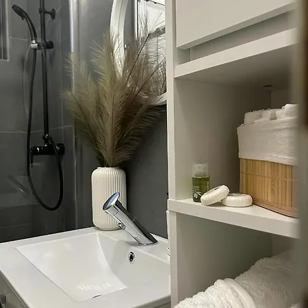 Luxury Mansion Bucareste