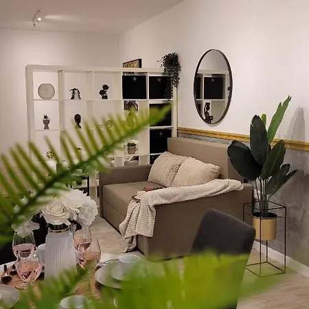 Luxury Mansion Apartment