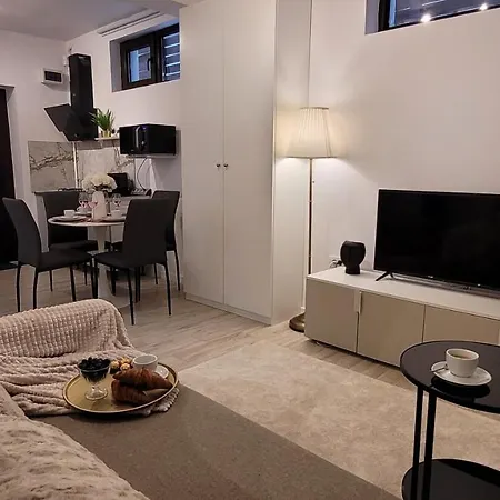 Luxury Mansion Apartment