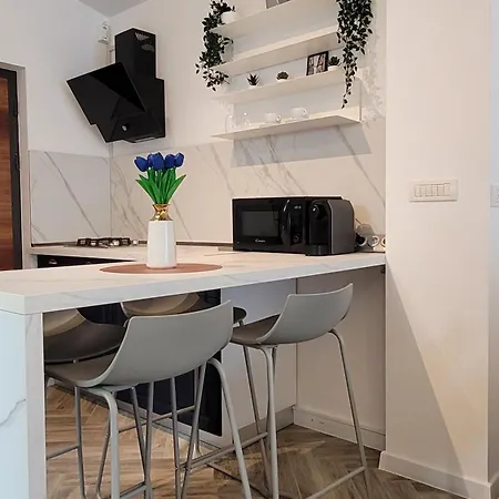 Luxury Mansion Apartment