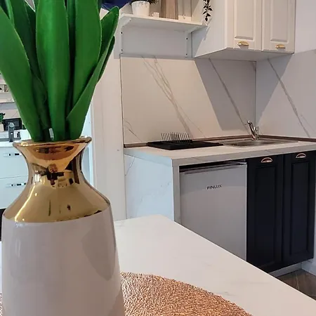 Διαμέρισμα Luxury Mansion