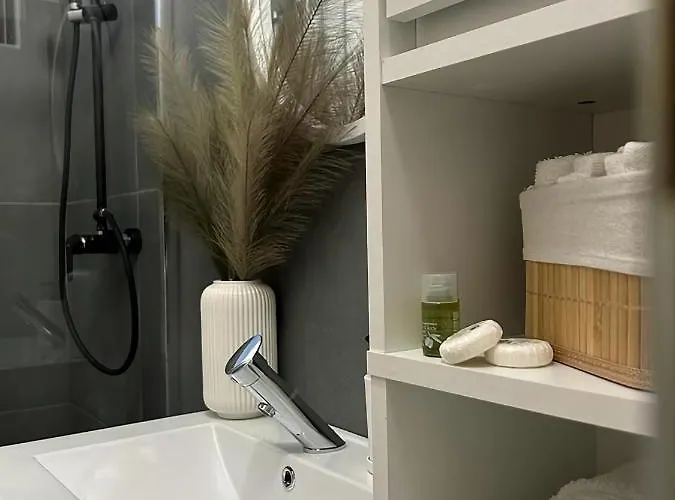 Luxury Mansion 布加勒斯特