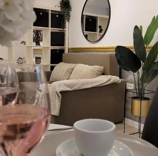 Luxury Mansion 公寓 *