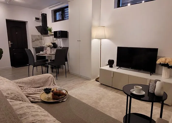 Luxury Mansion Apartment