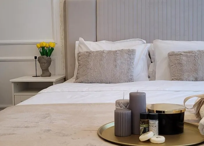 Luxury Mansion 布加勒斯特