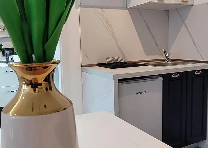 公寓 Luxury Mansion