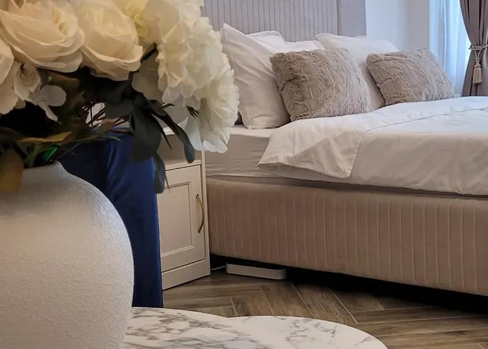 Luxury Mansion 公寓 *